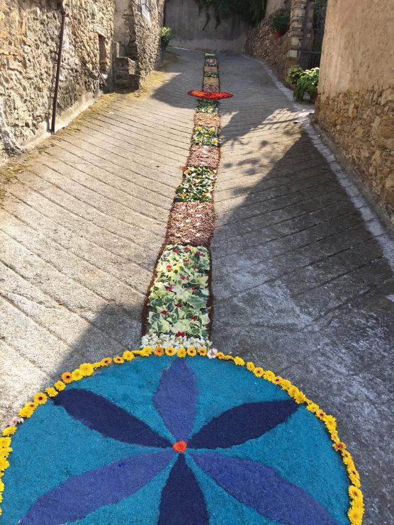 Artistica infiorata in via De Amicis