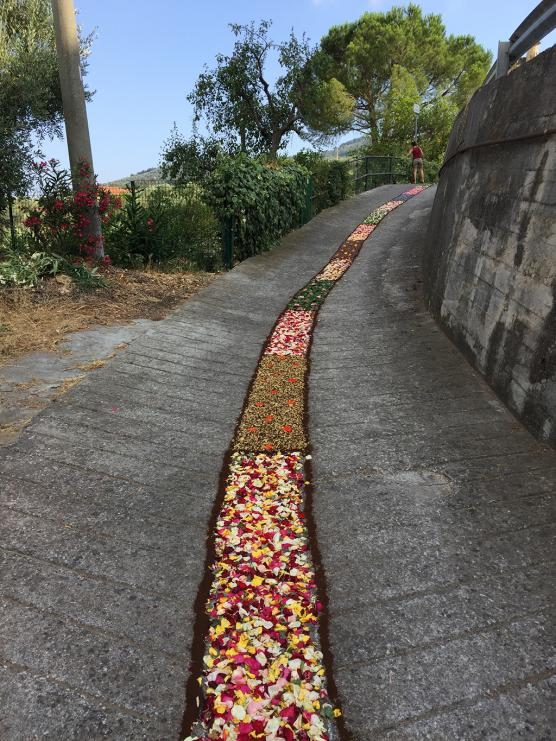 Artistica infiorata in via De Amicis