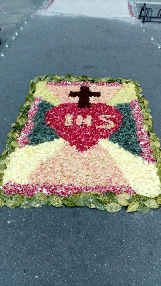 Infiorata e suggestiva illuminazione in piazza Doria