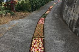 Artistica infiorata in via De Amicis