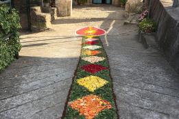 Artistica infiorata in via De Amicis