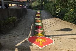 Artistica infiorata in via De Amicis